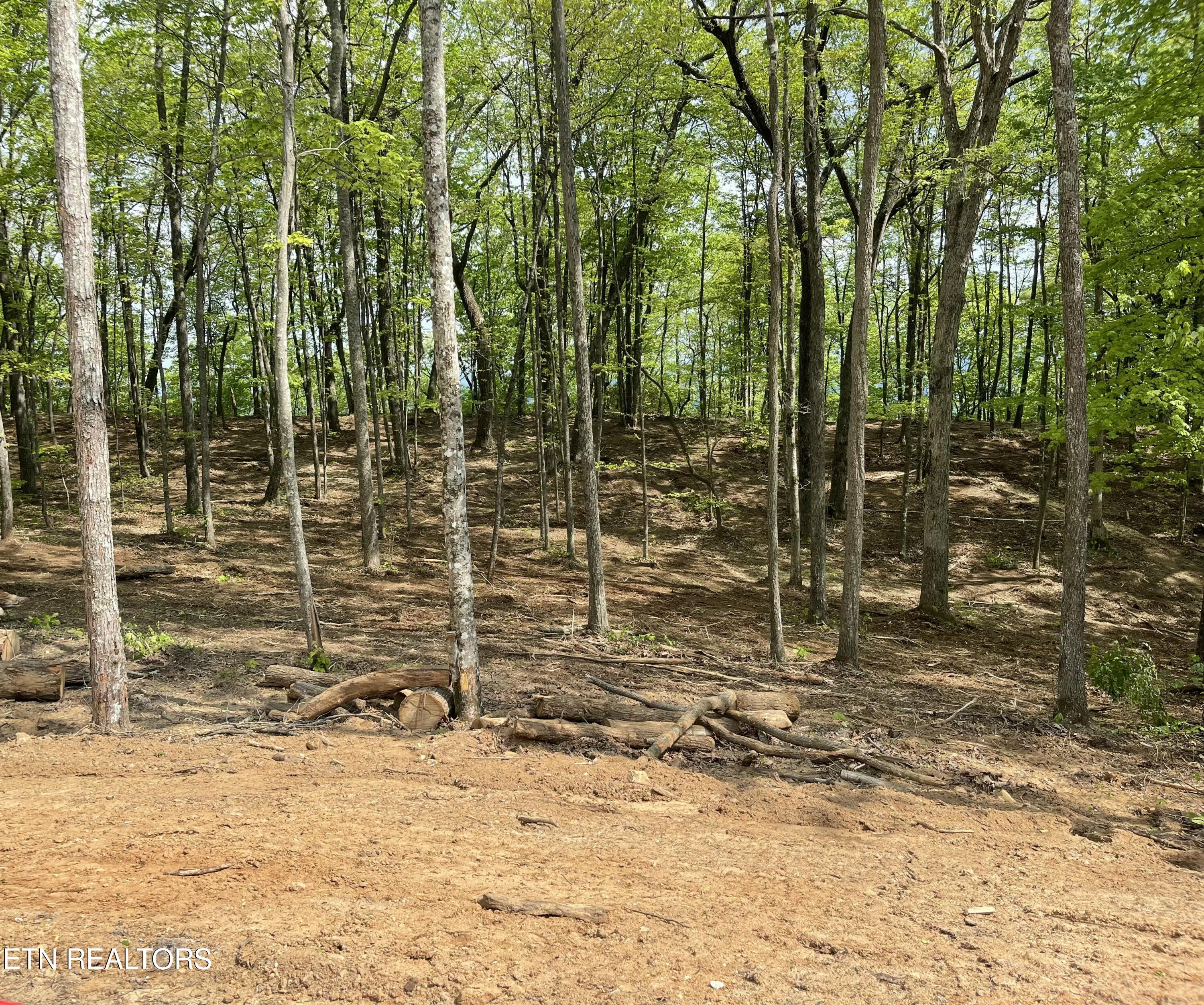 150 Timber Oaks Lane