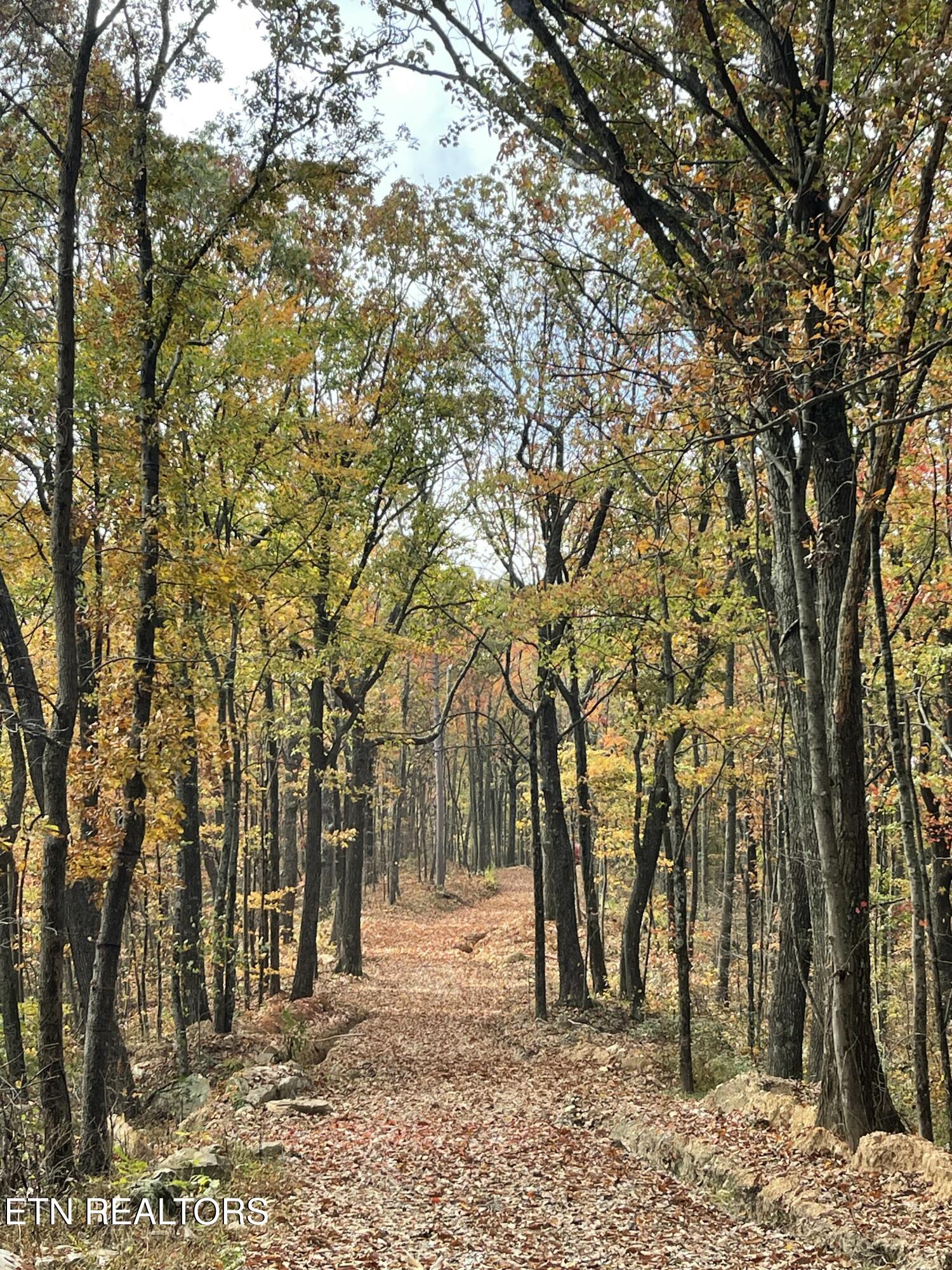 150 Timber Oaks Lane