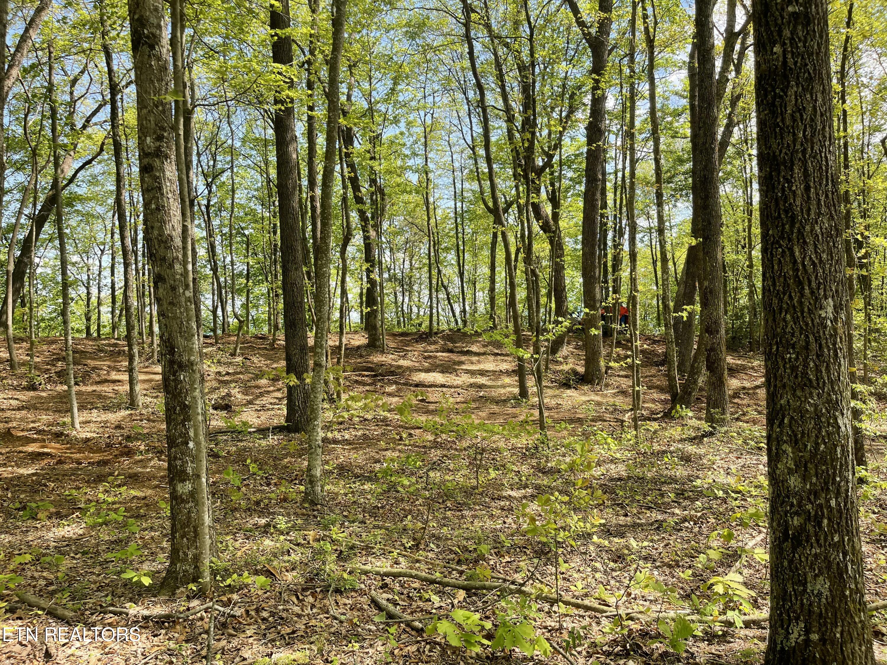 150 Timber Oaks Lane
