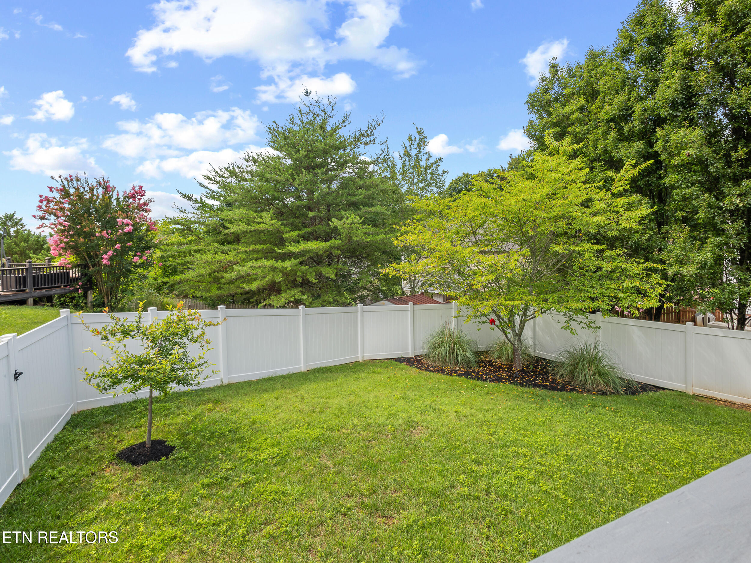2919 Timber Green Lane