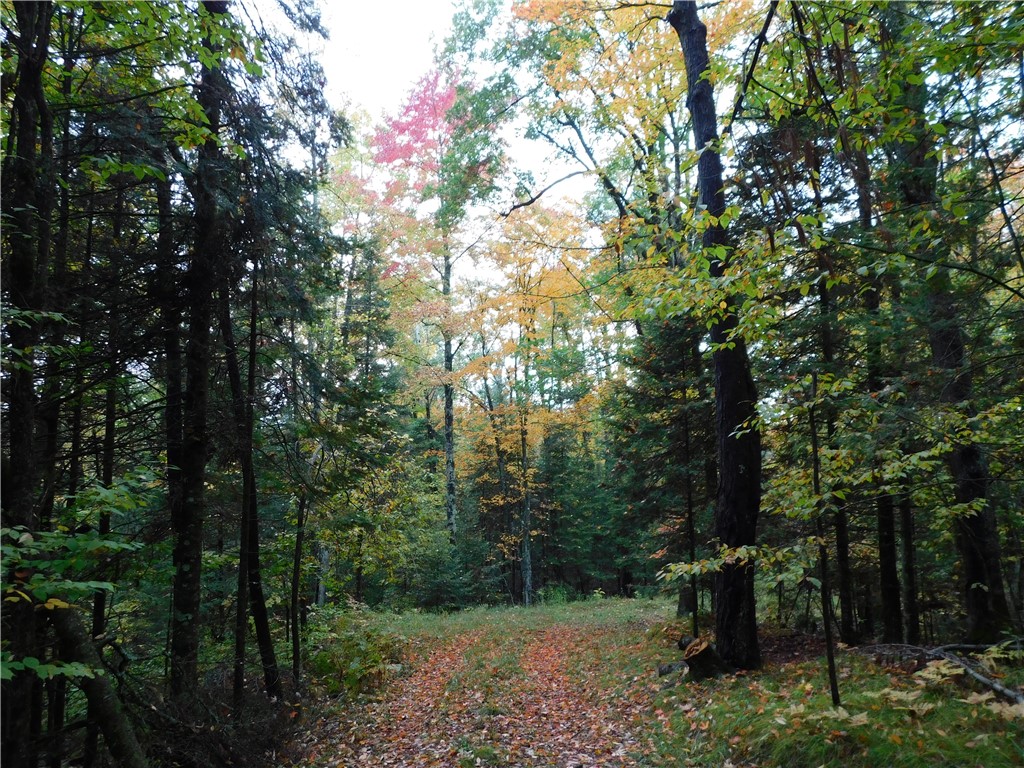 N1231 Public Landing Road