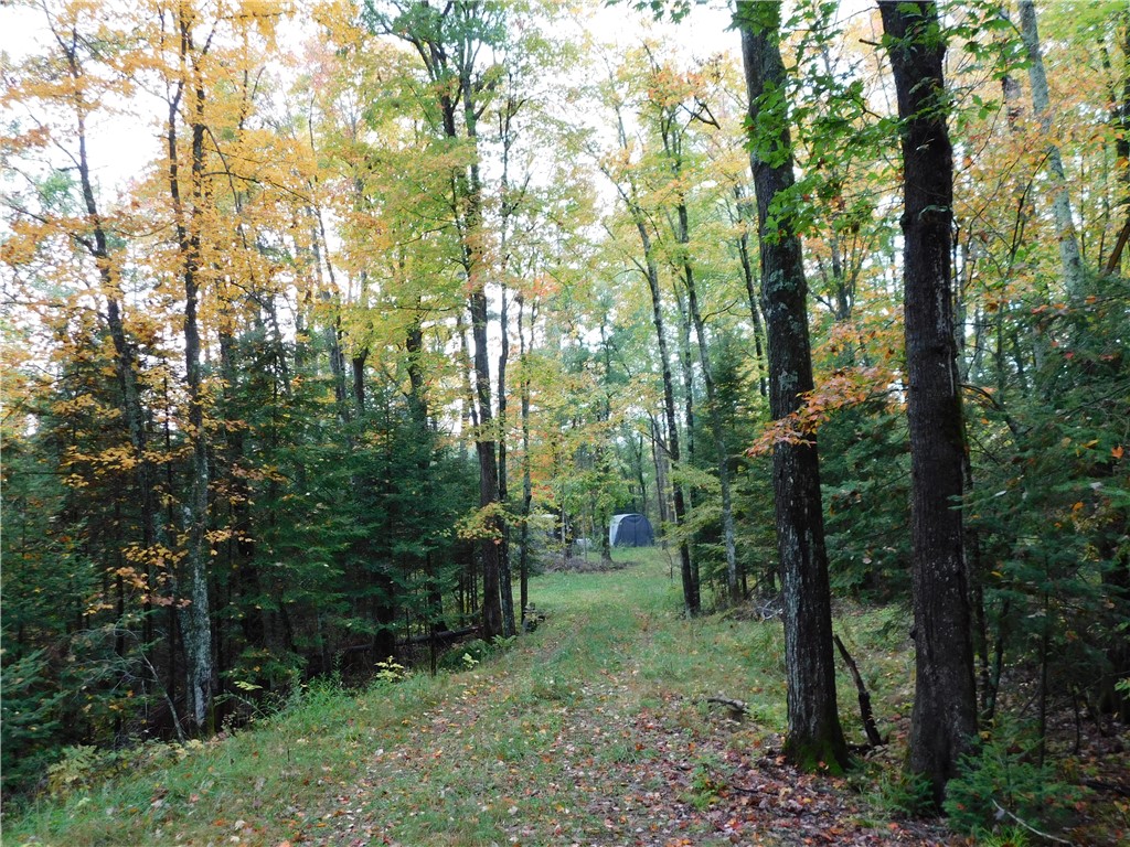 N1231 Public Landing Road