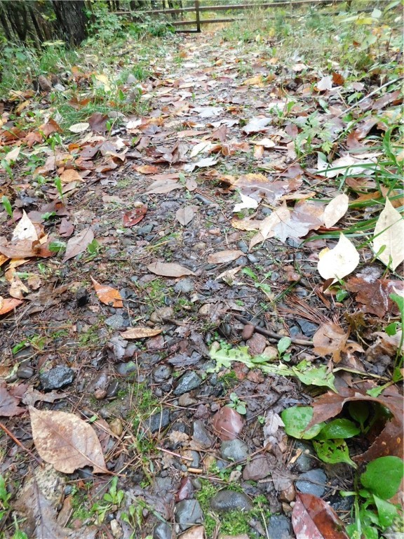 N1231 Public Landing Road
