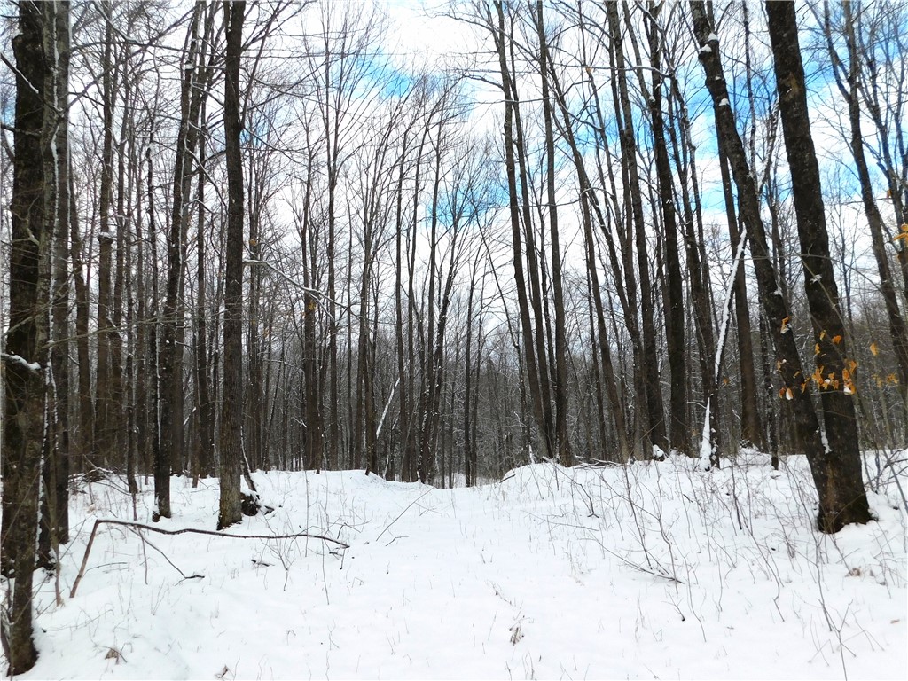 80 Acres off of County Road O