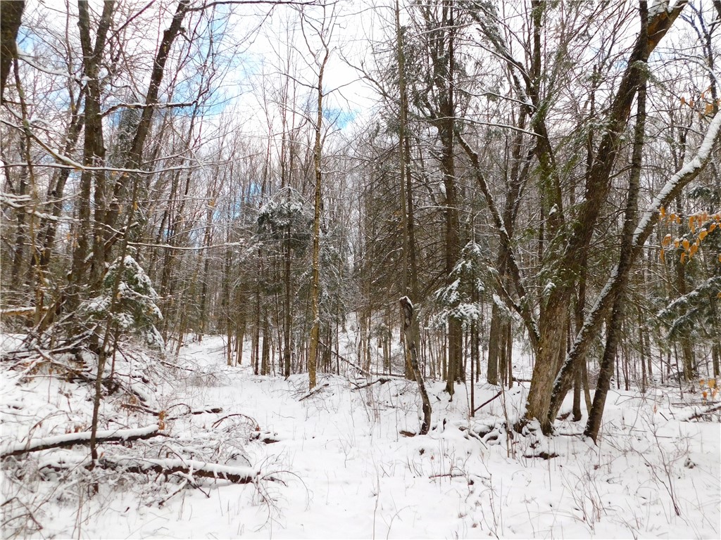 80 Acres off of County Road O