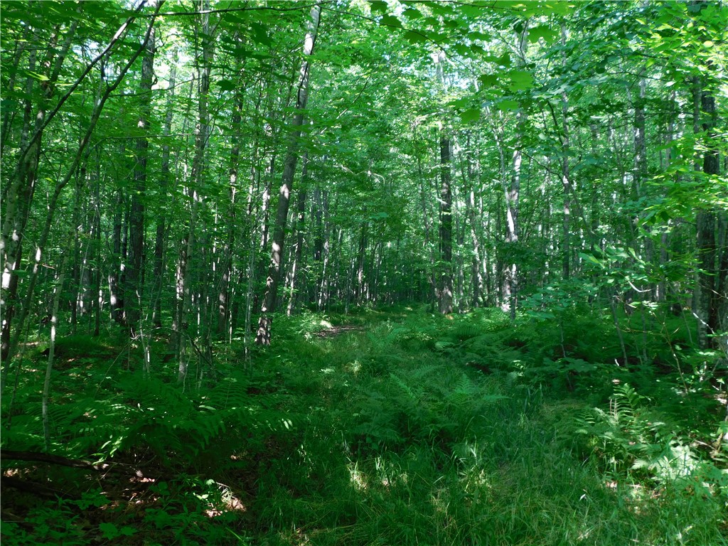 80 Acres off of County Road O