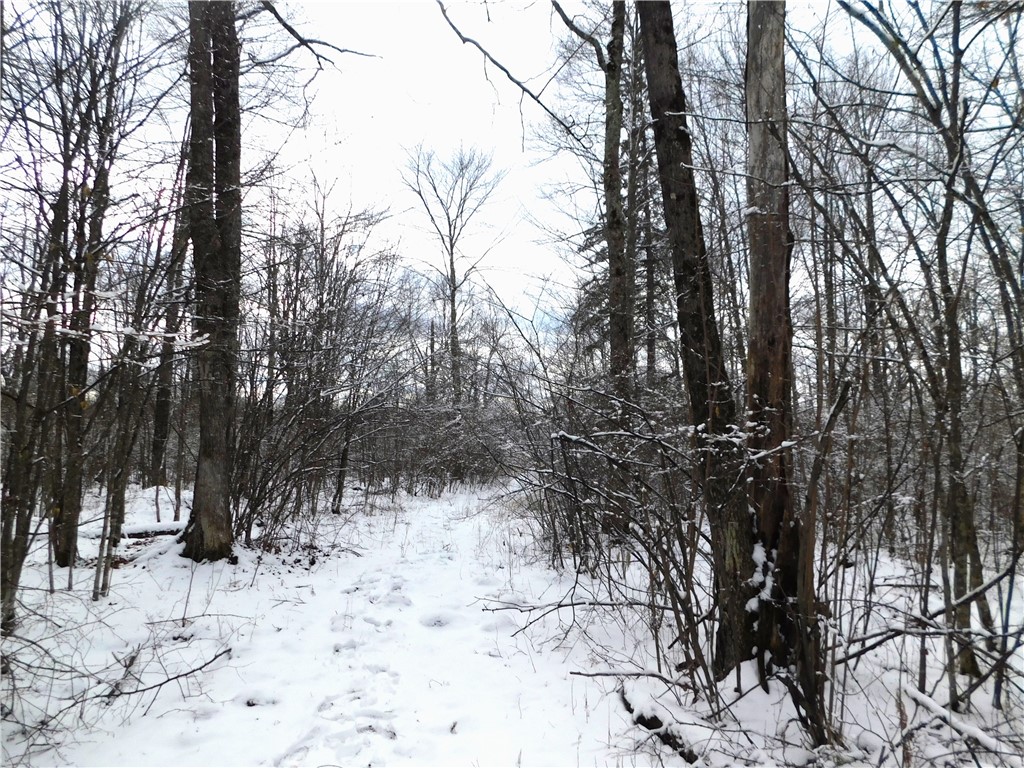 80 Acres off of County Road O