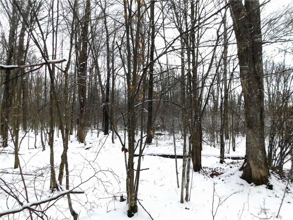 80 Acres off of County Road O