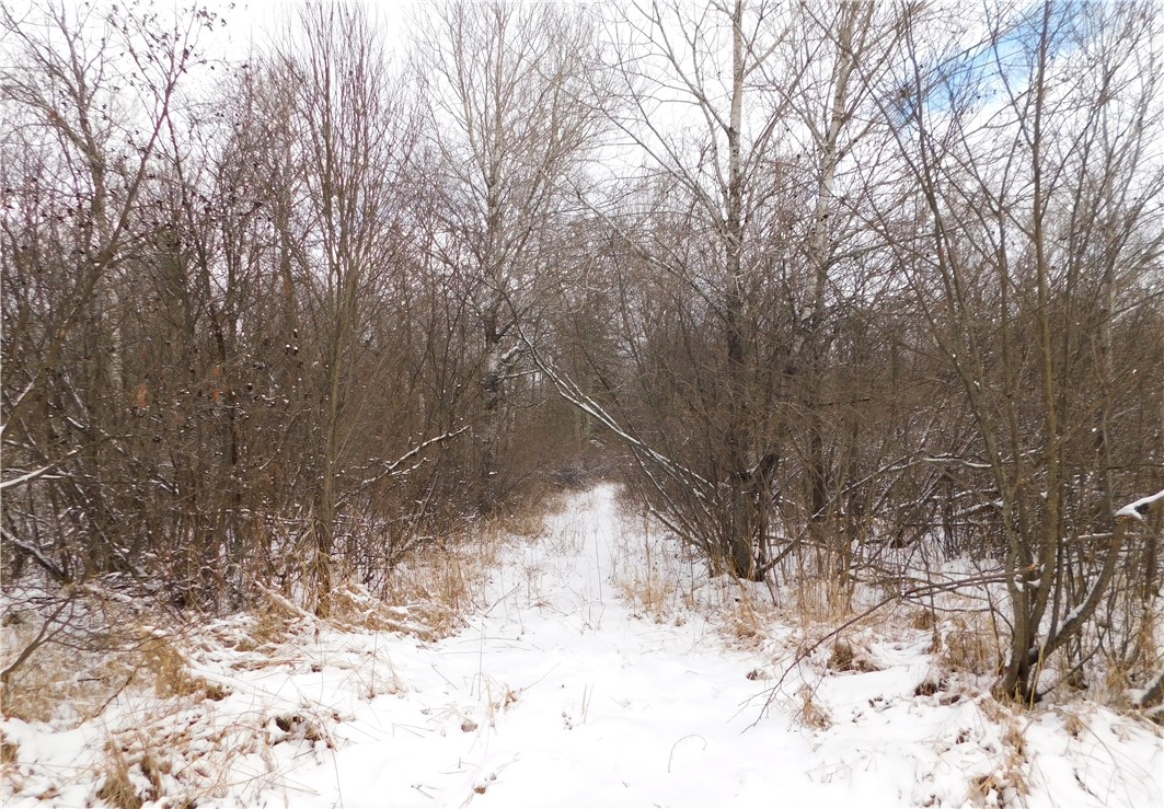 80 Acres off of County Road O