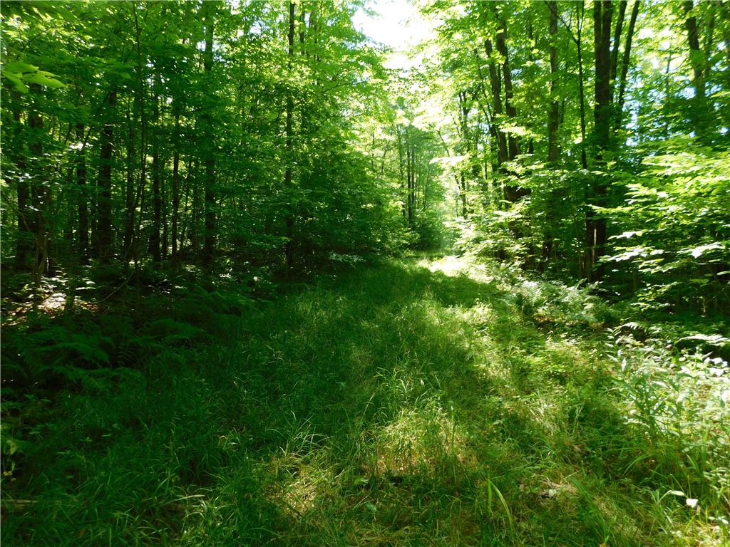 80 Acres off of County Road O