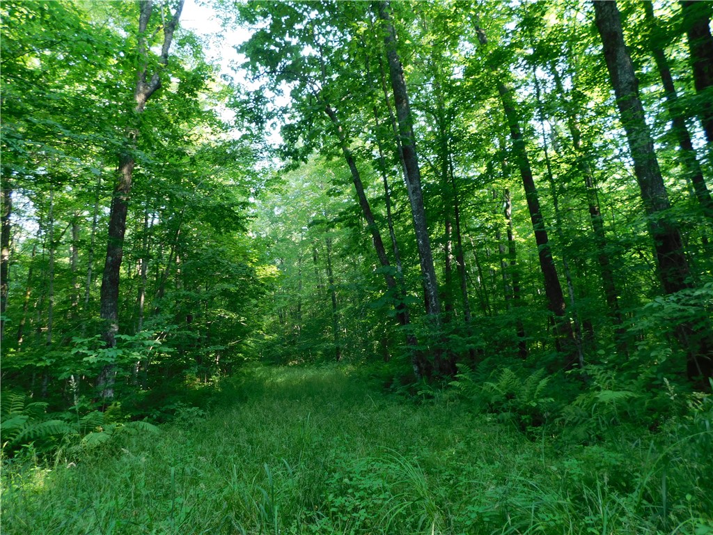 80 Acres off of County Road O