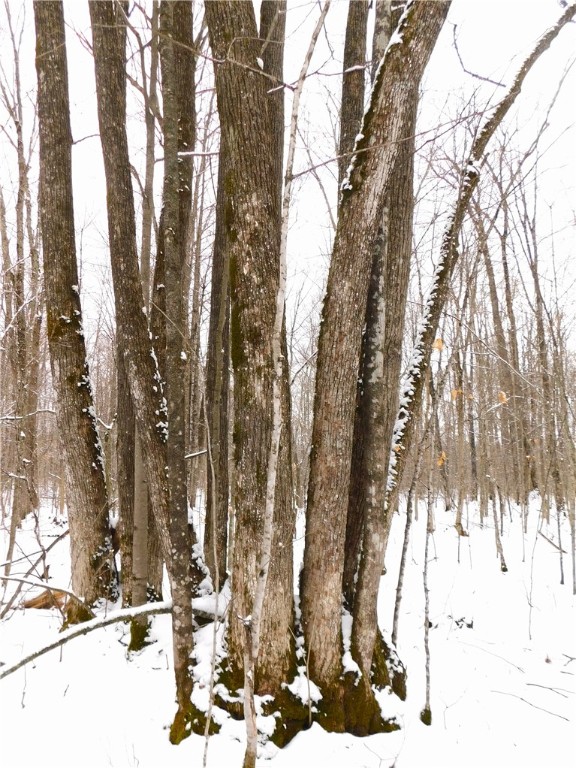 80 Acres off of County Road O