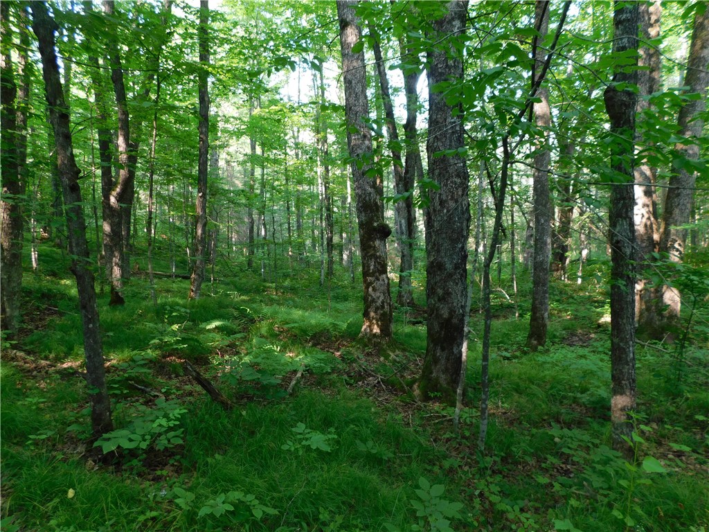 80 Acres off of County Road O