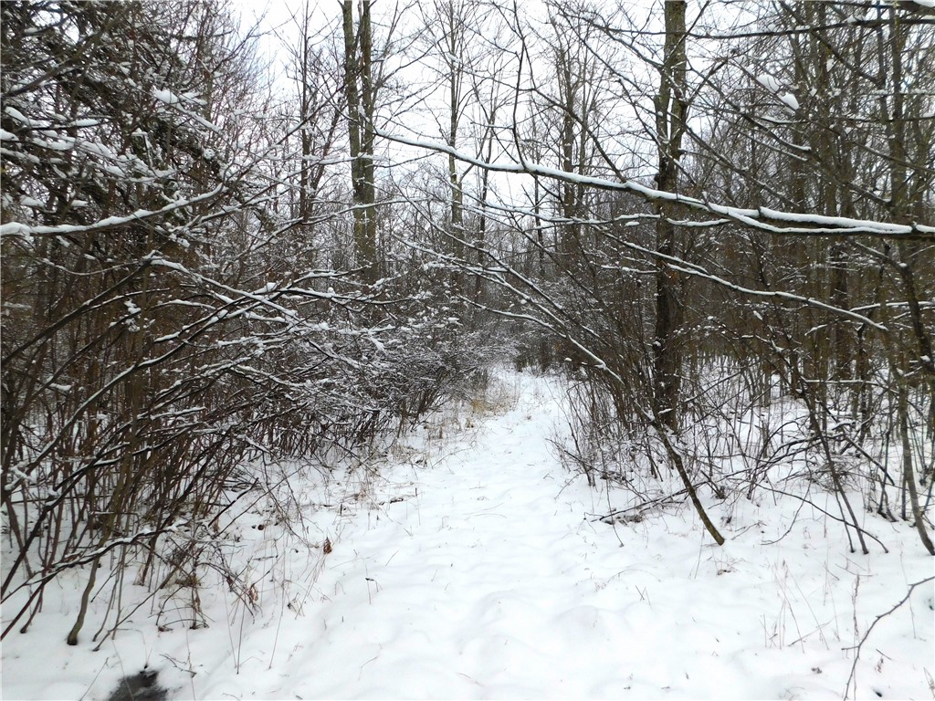 80 Acres off of County Road O