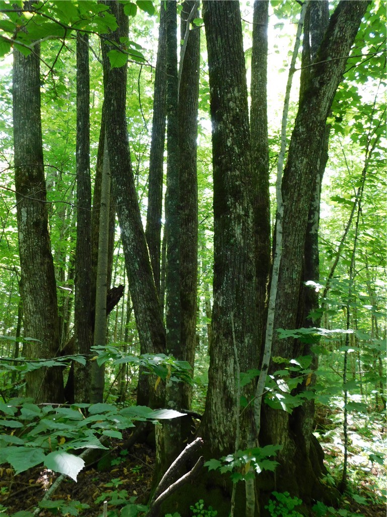 80 Acres off of County Road O