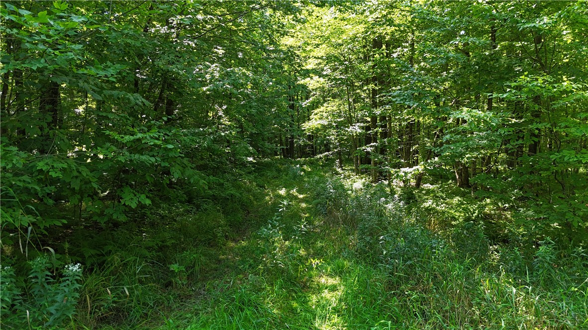 80 Acres off of County Road O