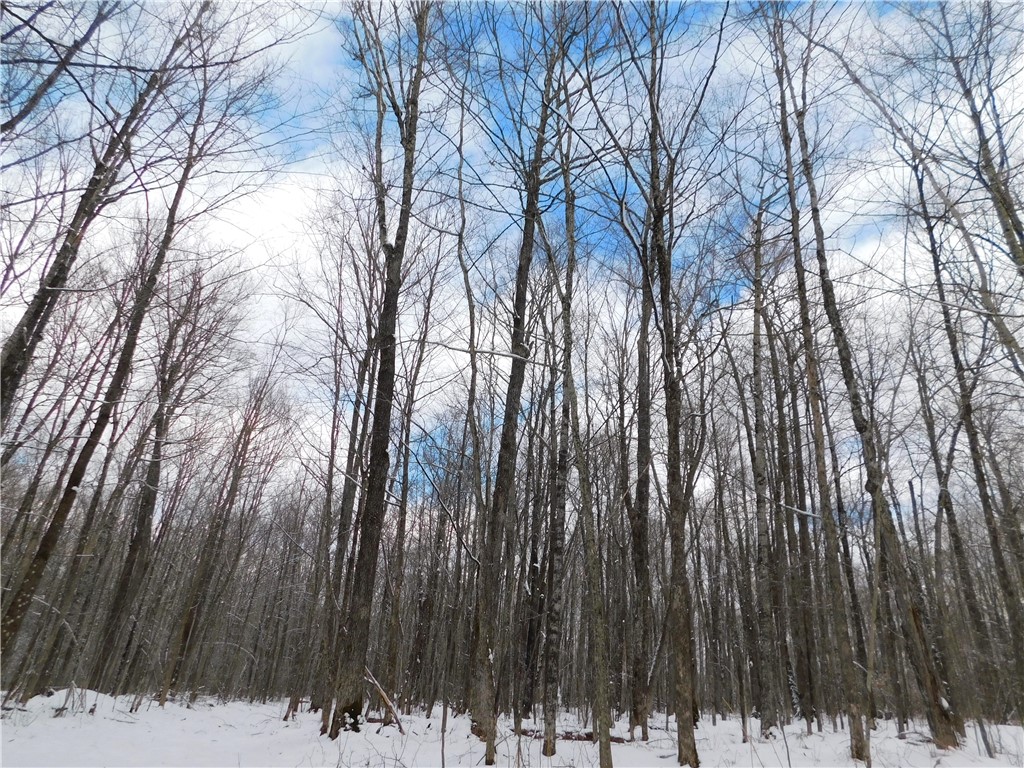 80 Acres off of County Road O