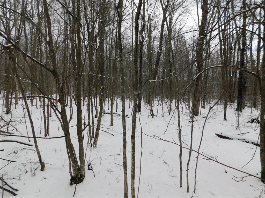 80 Acres off of County Road O