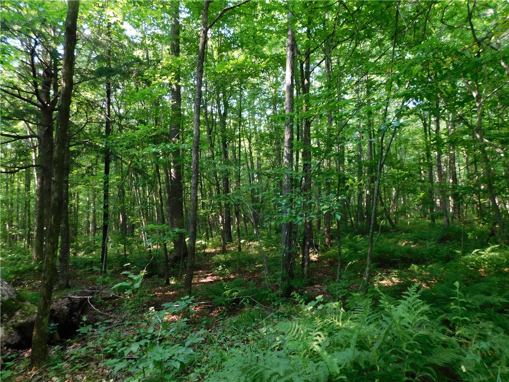 80 Acres off of County Road O