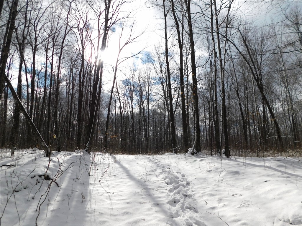 80 Acres off of County Road O