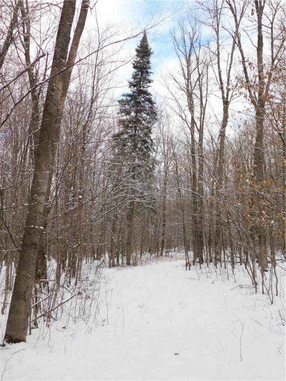 80 Acres off of County Road O