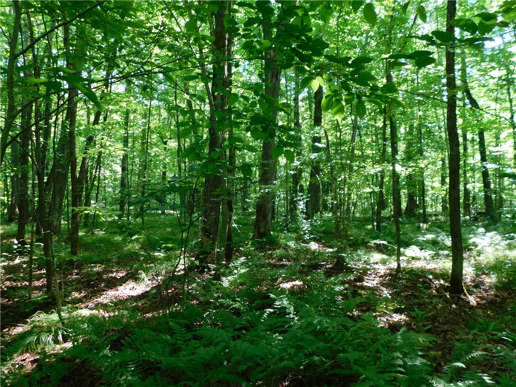 80 Acres off of County Road O