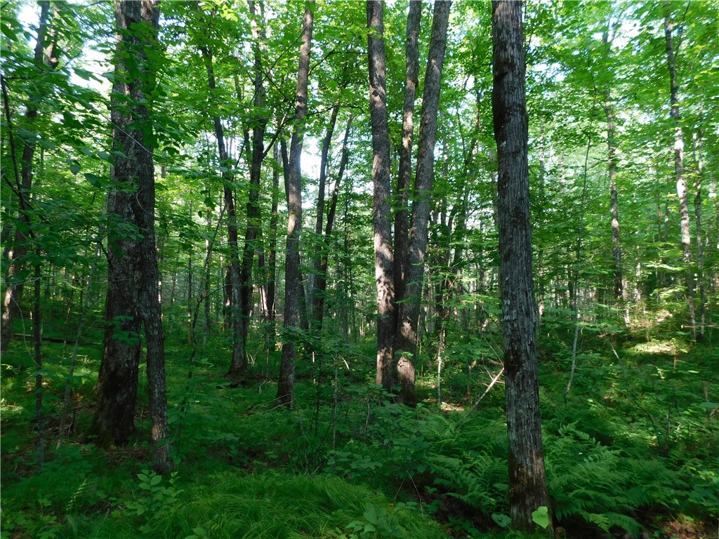 80 Acres off of County Road O