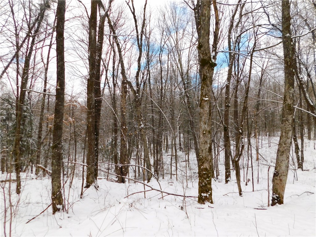 80 Acres off of County Road O