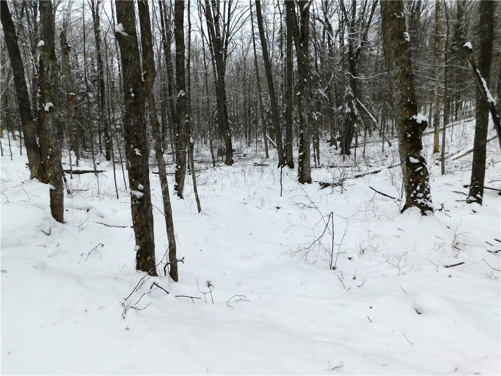 80 Acres off of County Road O