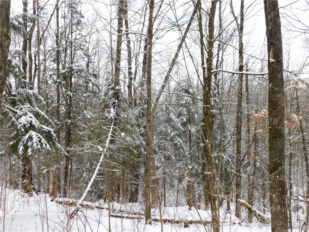 80 Acres off of County Road O