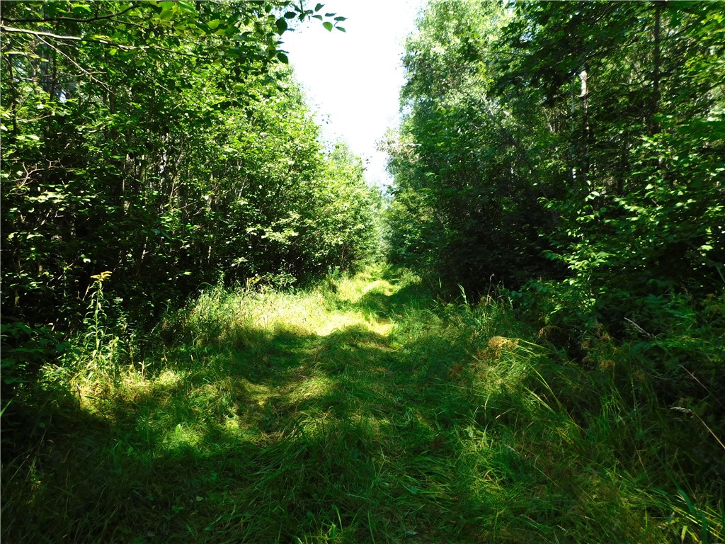 80 Acres off of County Road O