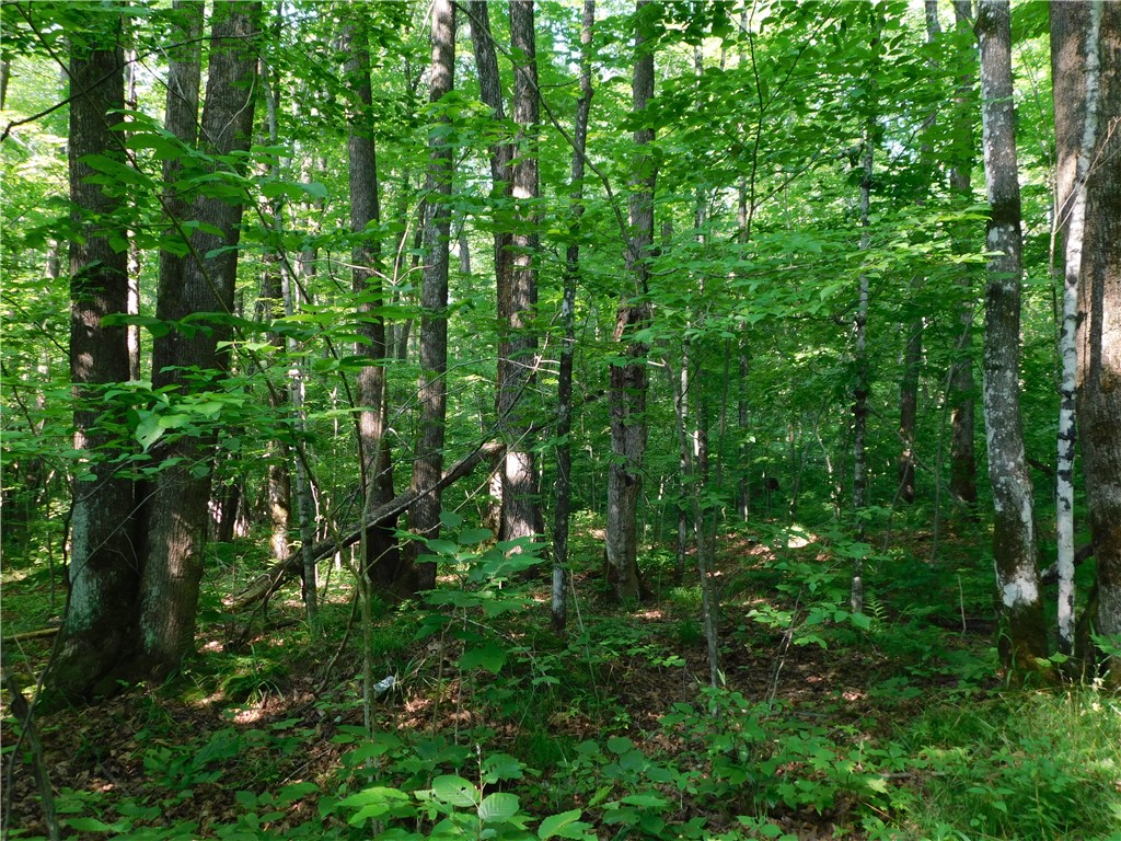 80 Acres off of County Road O