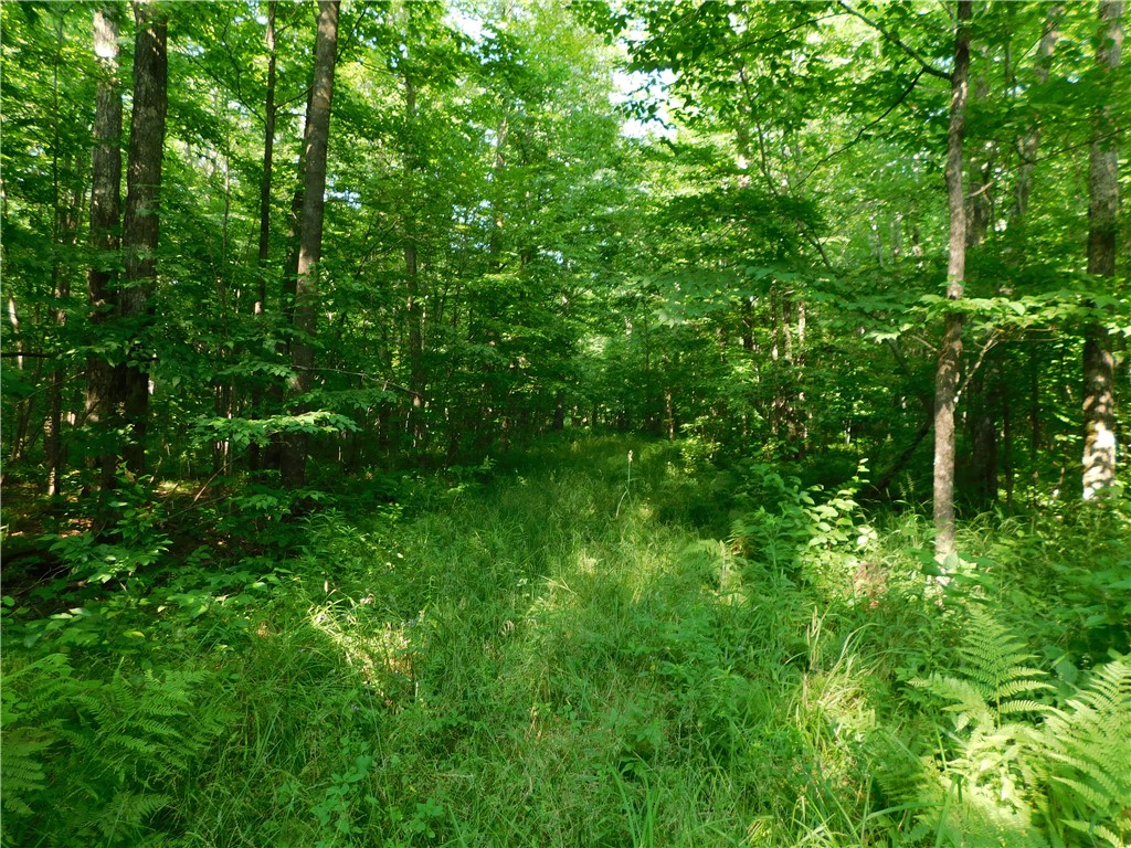 80 Acres off of County Road O