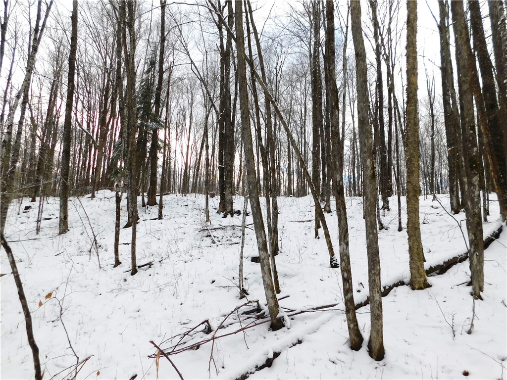 80 Acres off of County Road O