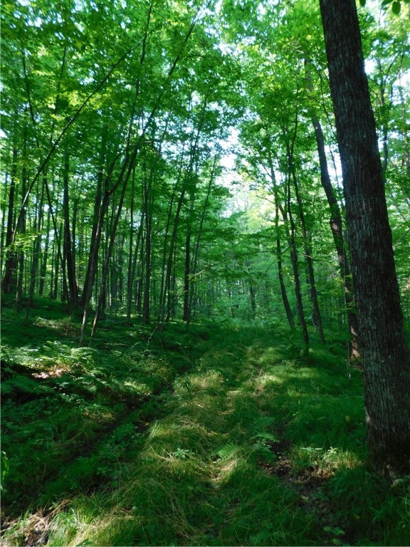 80 Acres off of County Road O