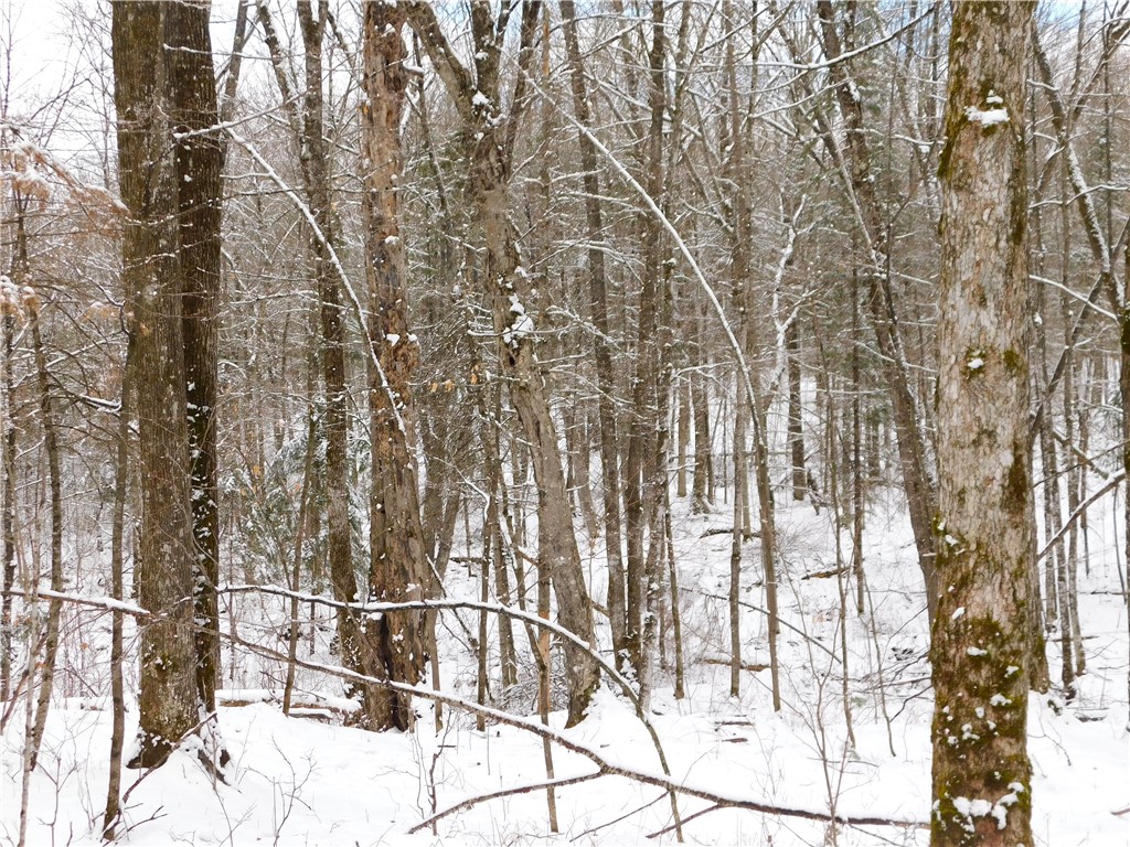 80 Acres off of County Road O