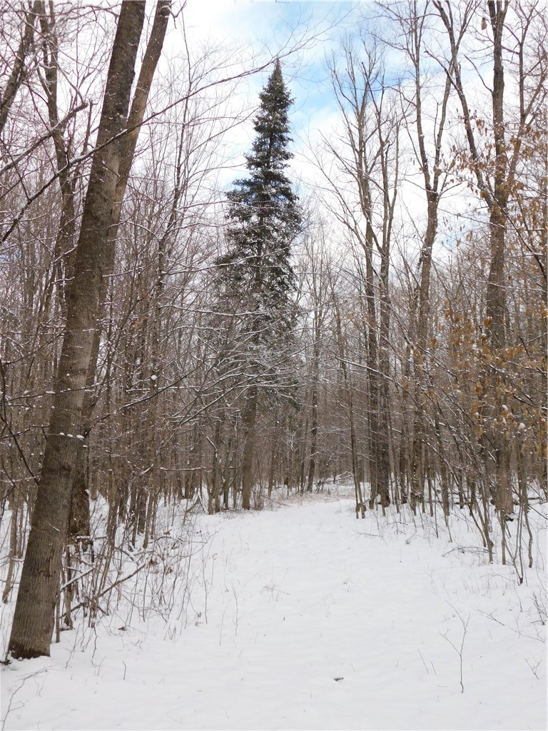 80 Acres off of County Road O