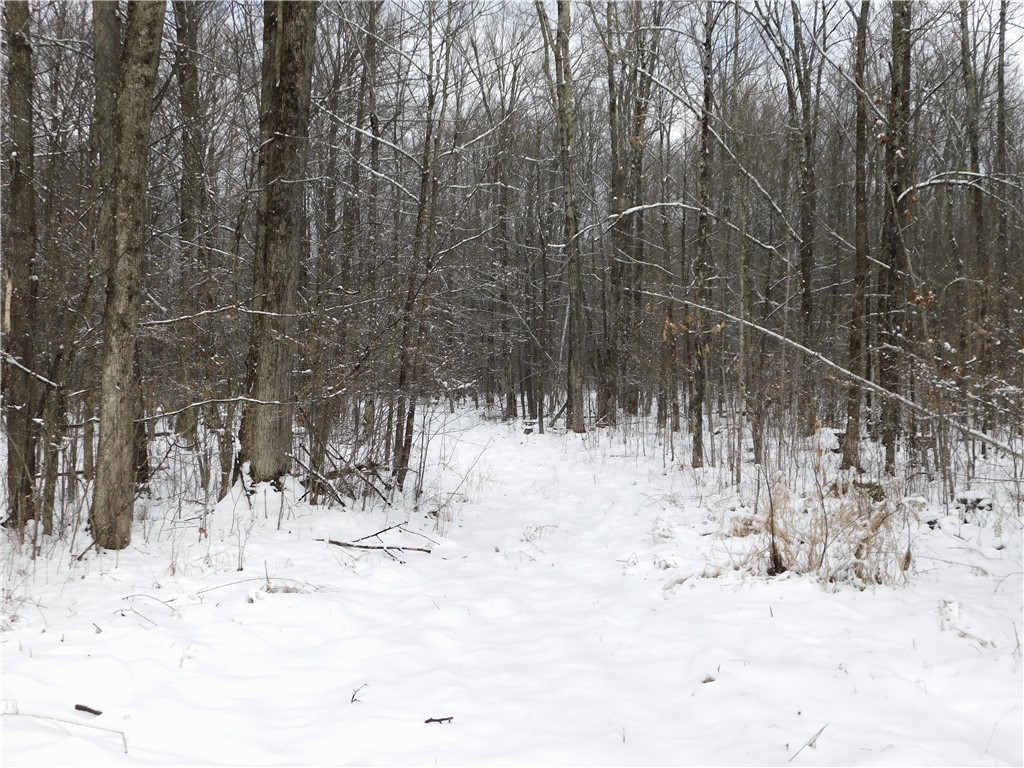 80 Acres off of County Road O