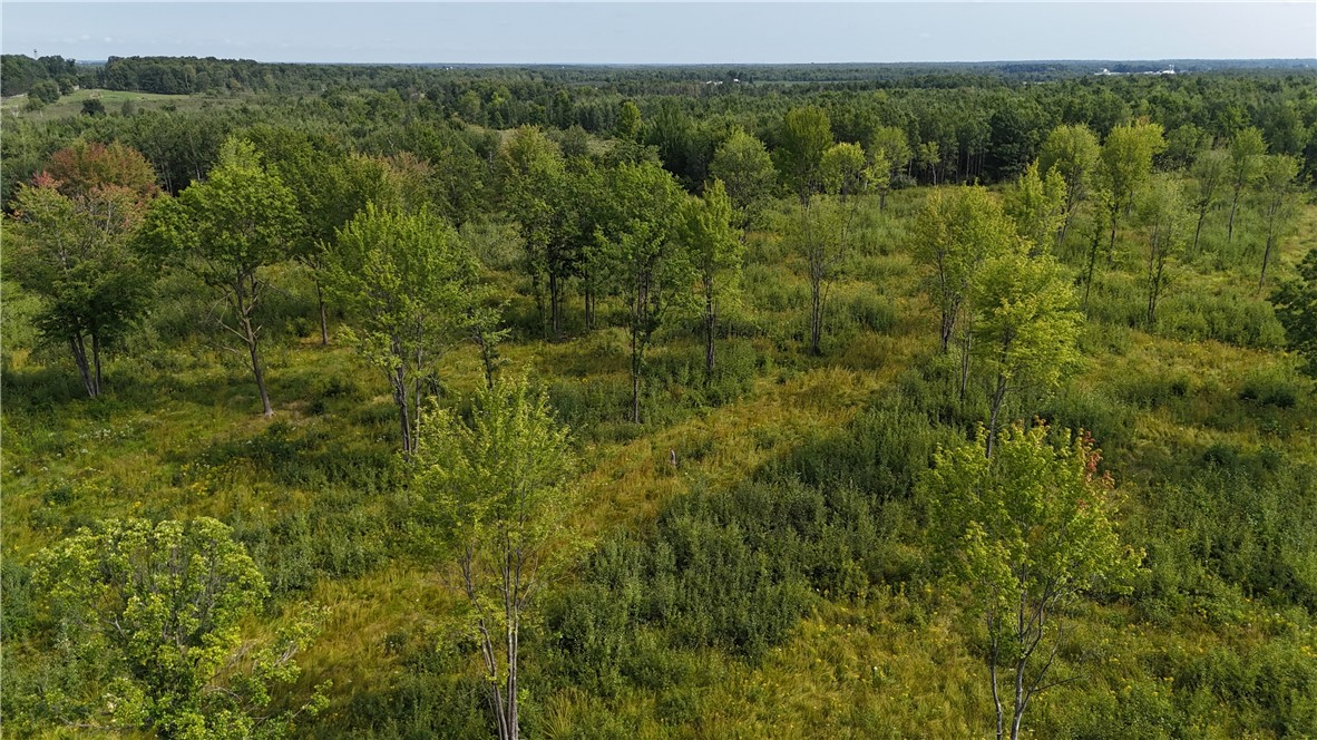 19 acres (+/-) County Highway G