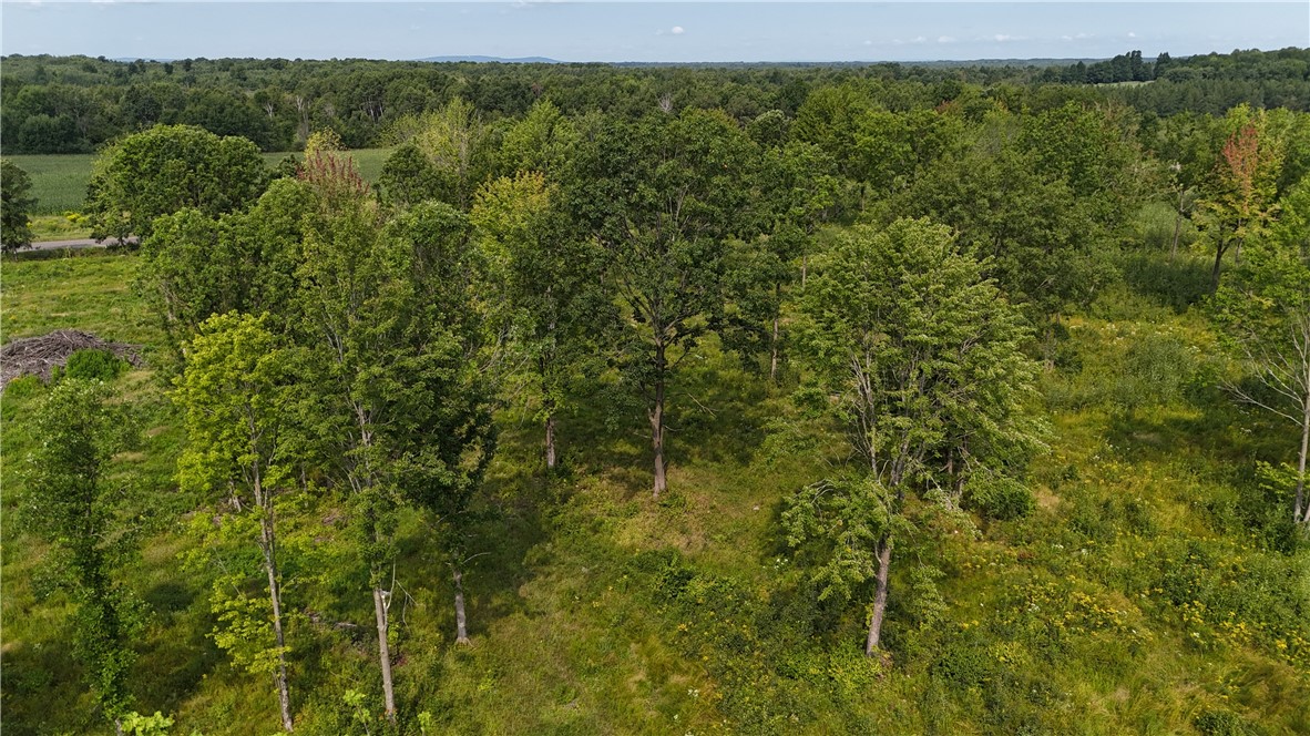 19 acres (+/-) County Highway G