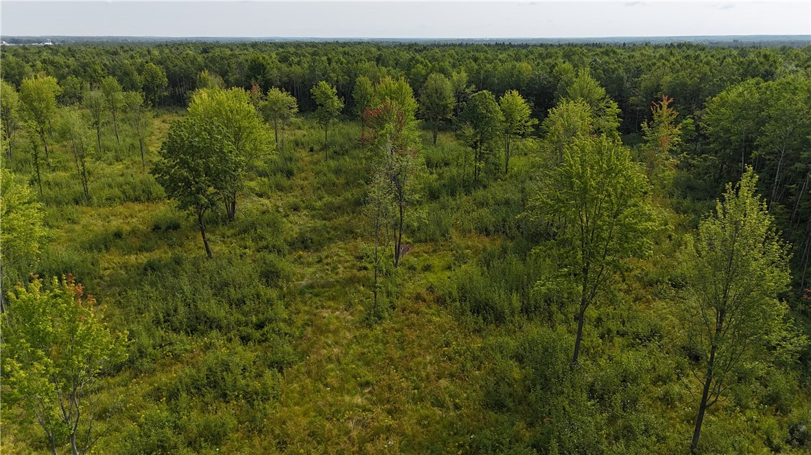 19 acres (+/-) County Highway G