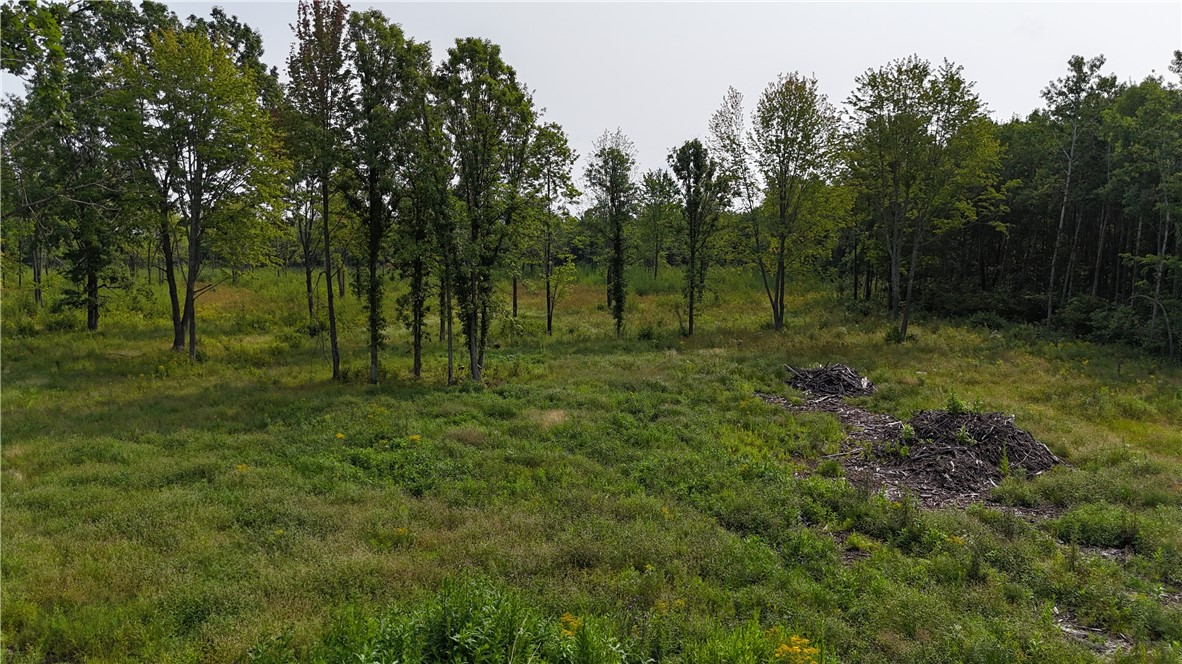 19 acres (+/-) County Highway G