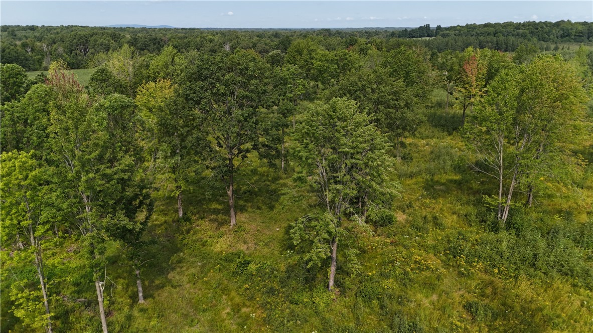 19 acres (+/-) County Highway G