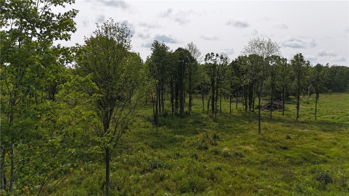 19 acres (+/-) County Highway G