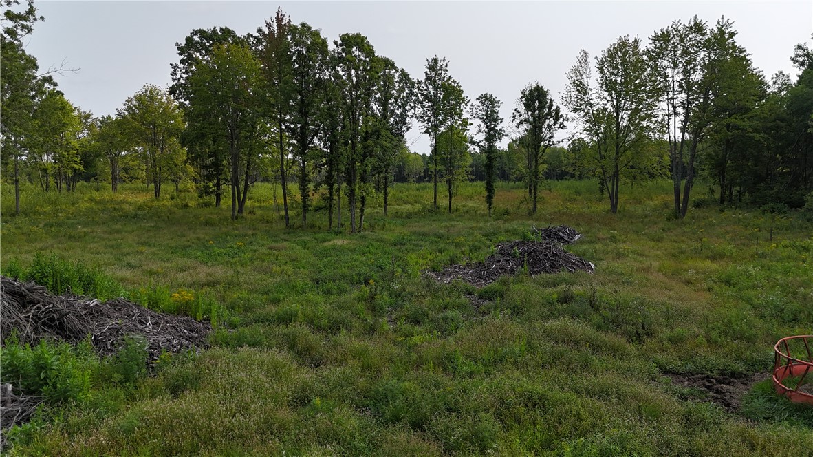 19 acres (+/-) County Highway G