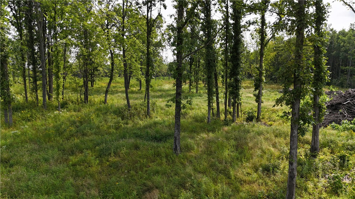 19 acres (+/-) County Highway G