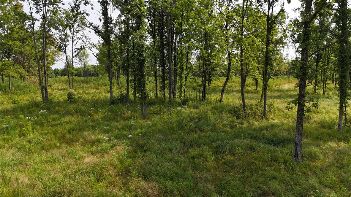 19 acres (+/-) County Highway G