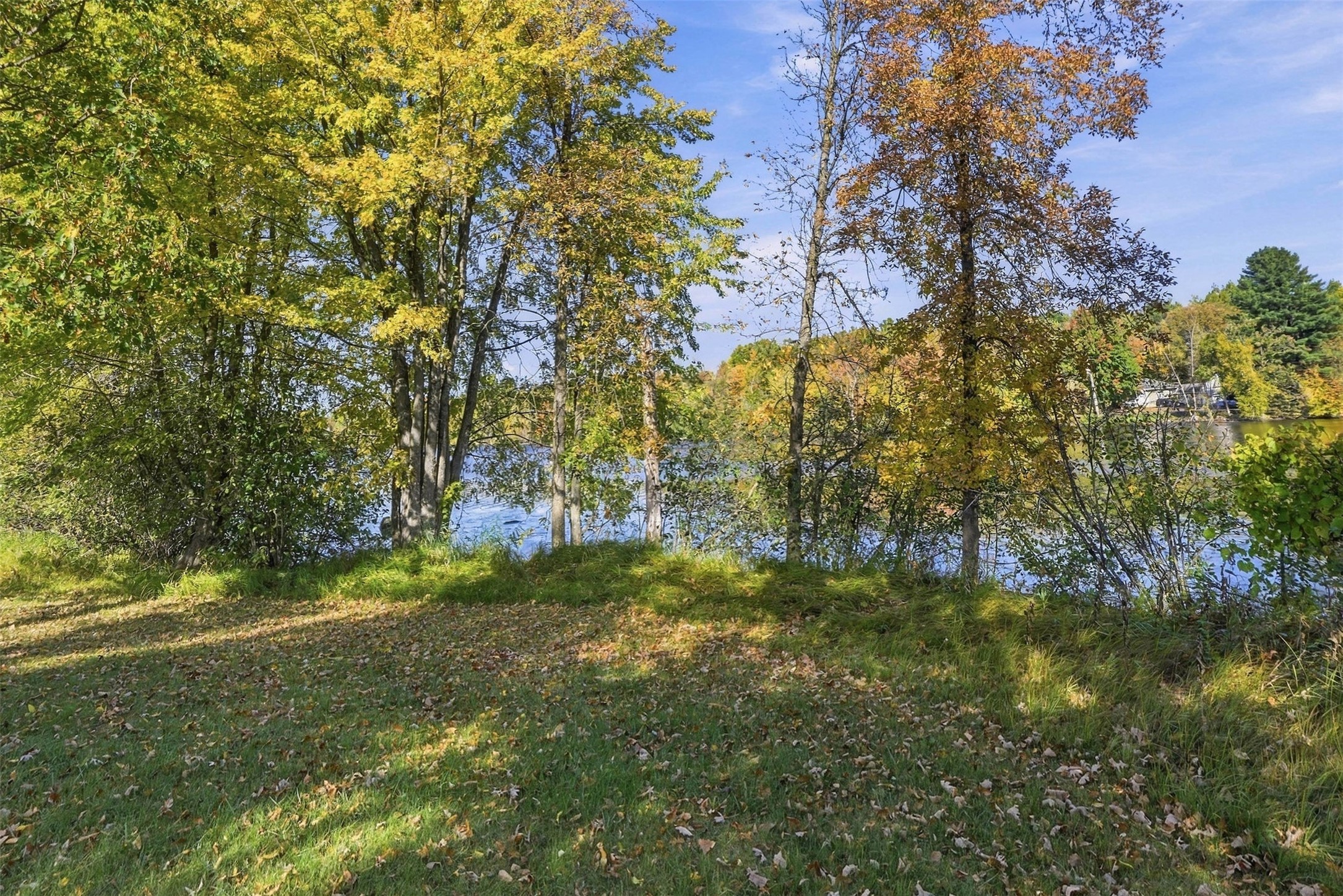 Wooded waterfront lot with a grassy slope, autumn trees, and water beyond.