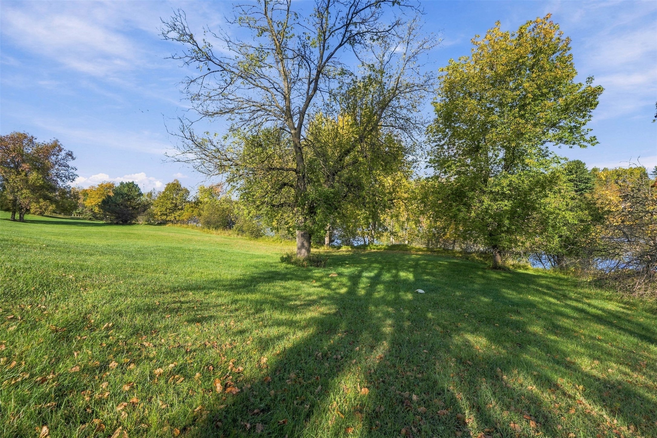 Grassy vacant lot with mature trees and glimpses of water through the foliage.