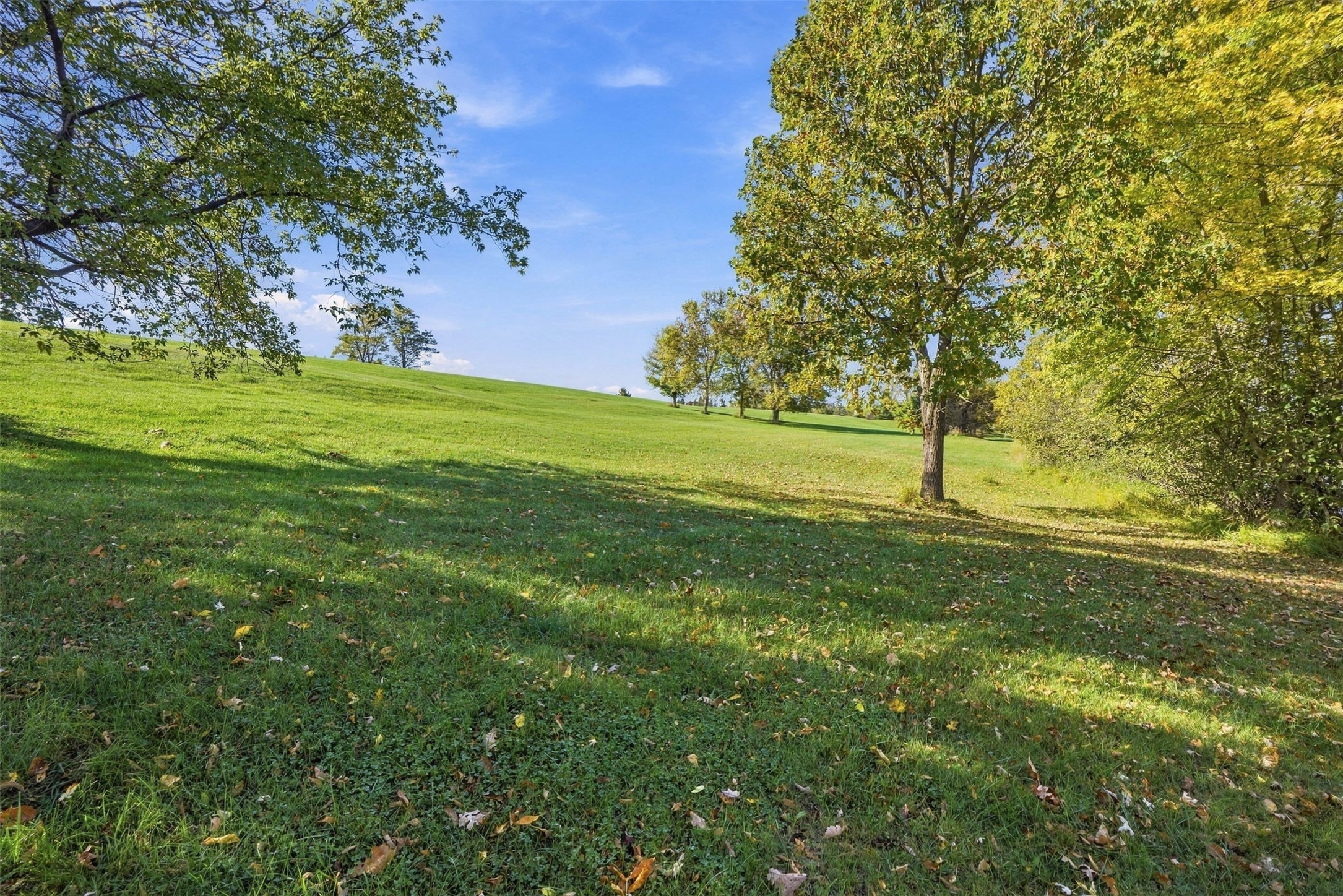 Grassy vacant land slopes gently between mature trees with autumn leaves.